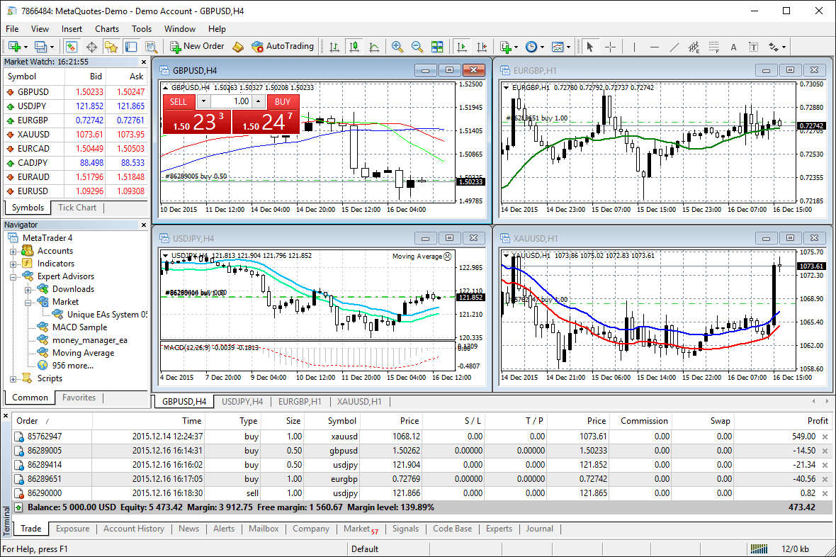 Real MetaTrader 4 desktop terminal with multi-chart layout and Market Watch